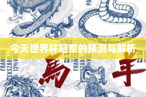今天世界杯冠军的预测与解析