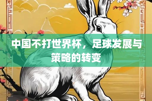 中国不打世界杯，足球发展与策略的转变漯河市盈旭机械设备有限公司