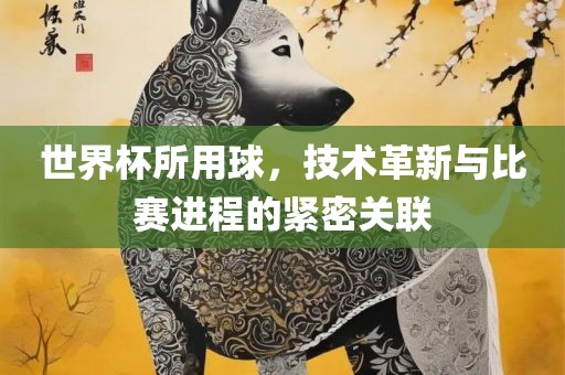世界杯所用球，技术革新与比赛进程的紧密关联