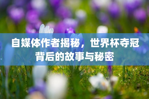 自媒体作者揭秘，世界杯夺冠背后的故事与秘密漯河市盈旭机械设备有限公司