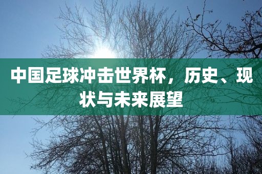 中国足球冲击世界杯，历史、现状与未来展望