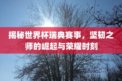 揭秘世界杯瑞典赛事，坚韧之师的崛起与荣耀时刻漯河市盈旭机械设备有限公司