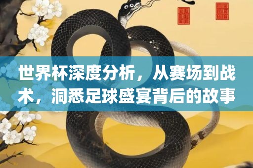 世界杯深度分析，从赛场到战术，洞悉足球盛宴背后的故事漯河市盈旭机械设备有限公司