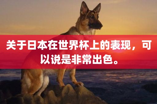 关于日本在世界杯上的表现，可以说是非常出色。