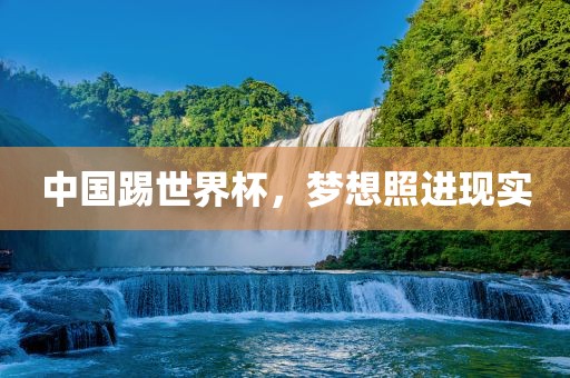 中国踢世界杯，梦想照进现实