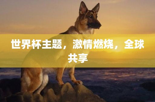 世界杯主题，激情燃烧，全球共享