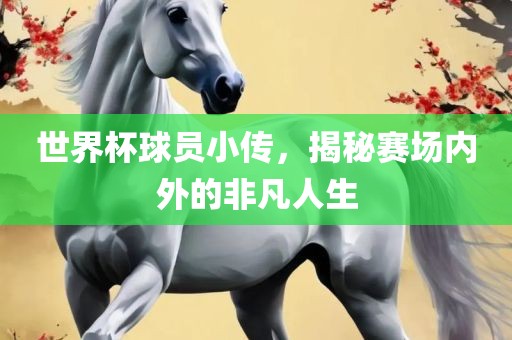 世界杯球员小传，揭秘赛场内外的非凡人生