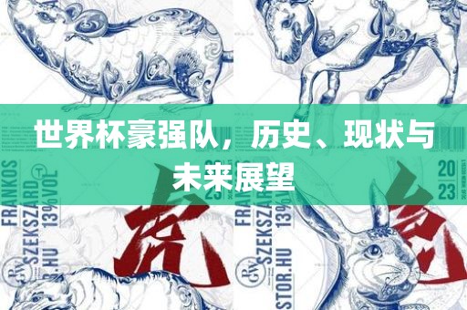 世界杯豪强队，历史、现状与未来展望