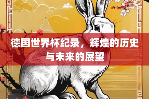 德国世界杯纪录，辉煌的历史与未来的展望