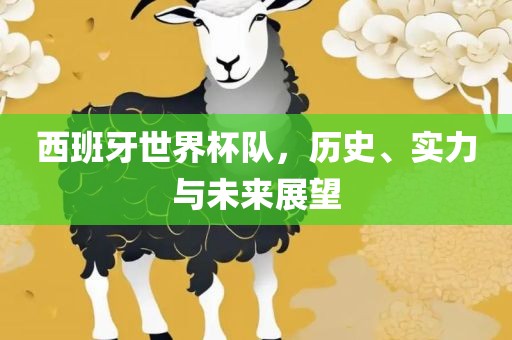 西班牙世界杯队，历史、实力与未来展望漯河市盈旭机械设备有限公司
