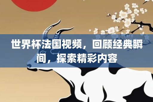 世界杯法国视频，回顾经典瞬间，探索精彩内容