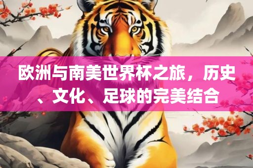 欧洲与南美世界杯之旅，历史、文化、足球的完美结合