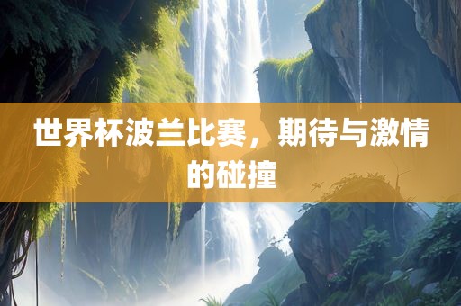 世界杯波兰比赛，期待与激情的碰撞