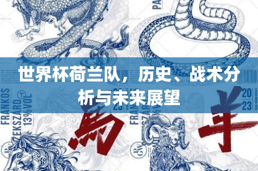世界杯荷兰队，历史、战术分析与未来展望