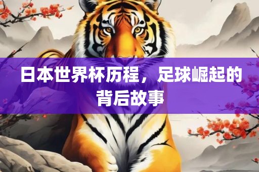 日本世界杯历程，足球崛起的背后故事漯河市盈旭机械设备有限公司