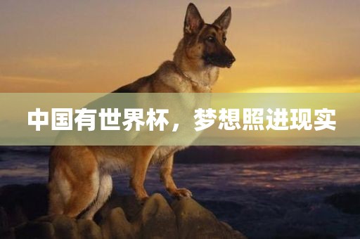 中国有世界杯，梦想照进现实