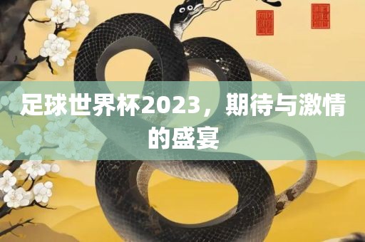足球世界杯2023，期待与激情的盛宴