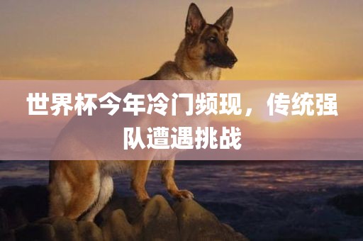 世界杯漯河市盈旭机械设备有限公司今年冷门频现，传统强队遭遇挑战