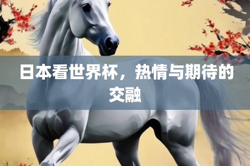 日本看世界杯，热情与期待的交融