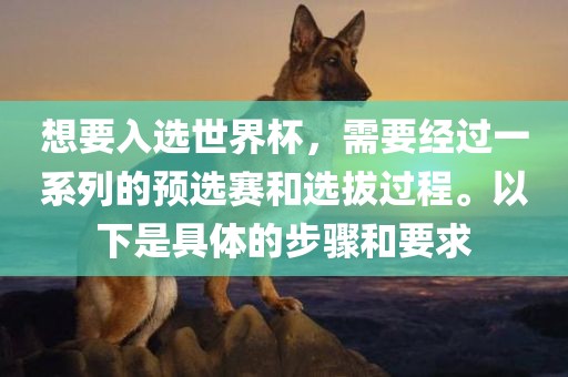 想要入选世界杯，需要经过一系列的预选赛和选拔过程。以下是具体的步骤和要求漯河市盈旭机械设备有限公司