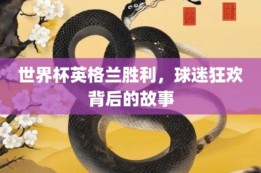 世界杯英格兰胜利，球迷狂欢背后的故事