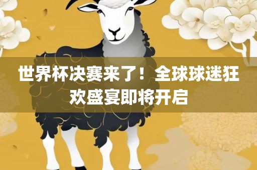 世界杯决赛来了！全球球迷狂欢盛宴即将开启漯河市盈旭机械设备有限公司