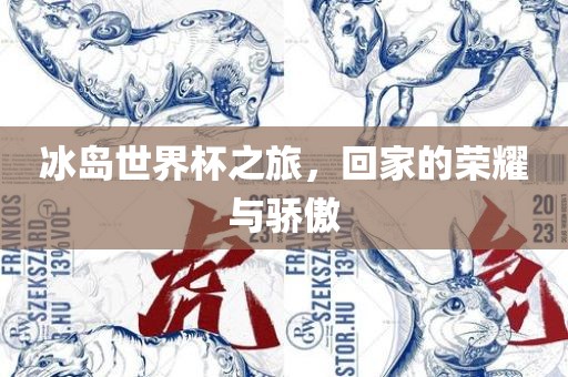 冰岛世界杯之旅，回家的荣耀与骄傲漯河市盈旭机械设备有限公司