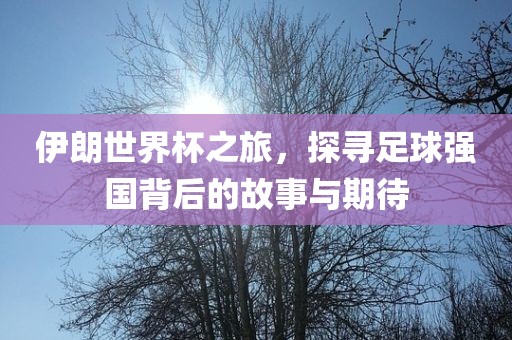 伊朗世界杯之旅，探寻足球强国背后的故事与期待