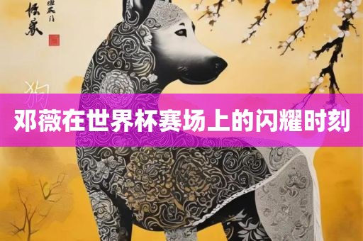 邓薇在世界杯赛场上的漯河市盈旭机械设备有限公司闪耀时刻