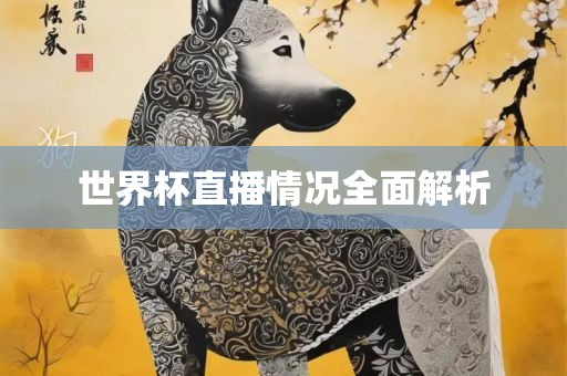 世界杯直播情况全面解析