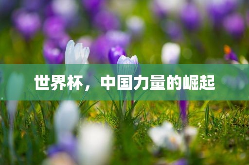 yangyuting 第3页