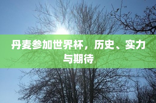 丹麦参加世界杯，历史、实力与期待