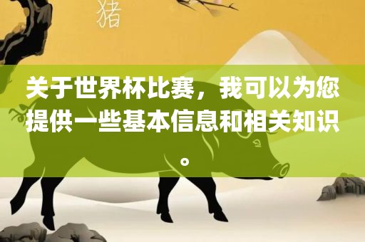 关于世界杯比赛，我可以为您提供一些基本信息和相关知识。漯河市盈旭机械设备有限公司