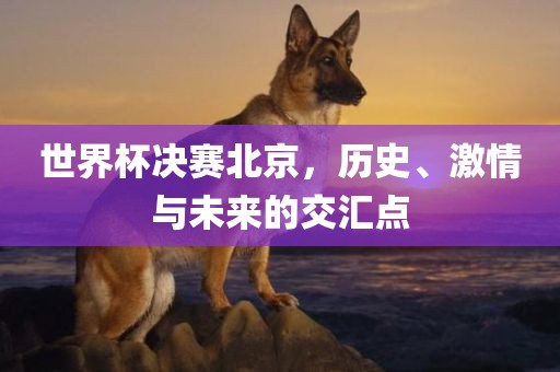 世界杯决赛北京，历史、激情与未来的交汇点