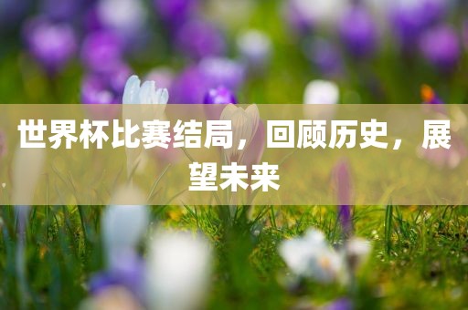 世界杯比赛结局，回顾历史，展望未来