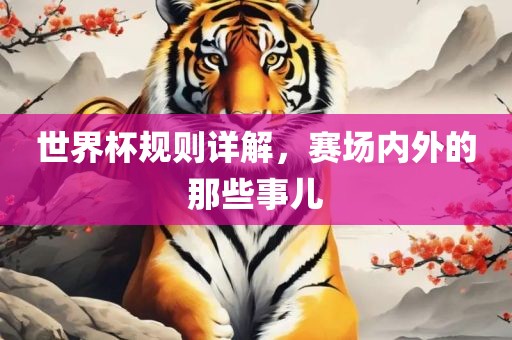 世界杯规则详解，赛场内外的那些事儿