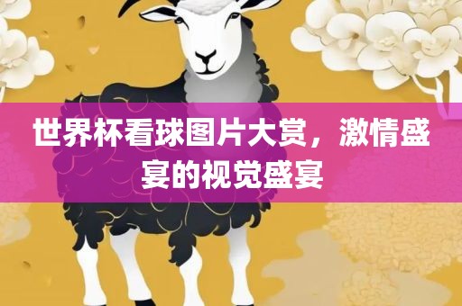 世界杯看球图片大赏，激情盛宴的视觉盛宴