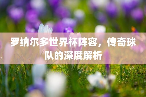 罗纳尔多世界杯阵容，传奇球队的深度解析