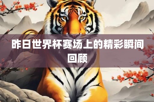 昨日世界杯赛场上的精彩瞬间回顾