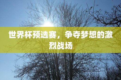 世界杯预选赛，争夺梦想的激烈战场漯河市盈旭机械设备有限公司