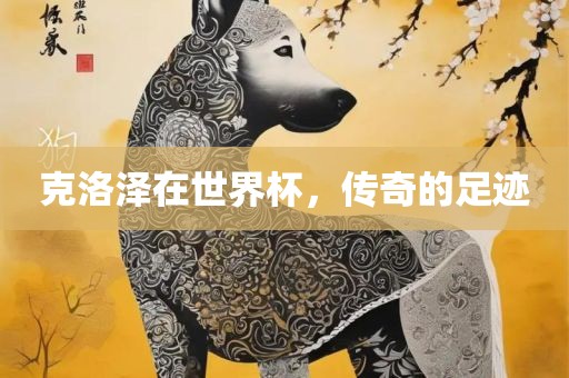克洛泽在世界杯，传奇的足迹漯河市盈旭机械设备有限公司