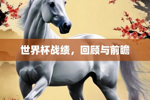 世界杯战绩，回顾与前瞻