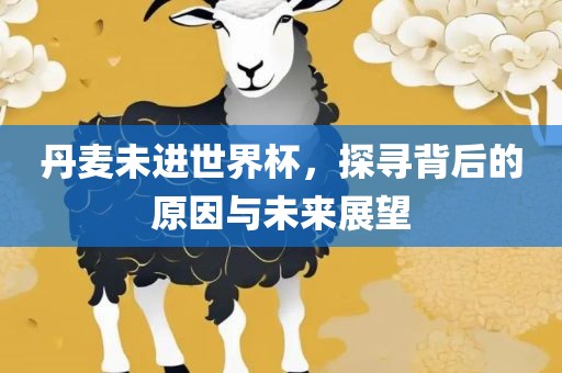 丹麦未进世界杯，探寻背后的原因与未来展望