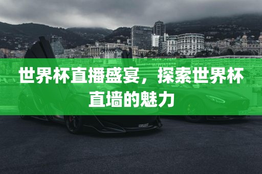 世界杯直播盛宴，探索世界杯直墙的魅力漯河市盈旭机械设备有限公司