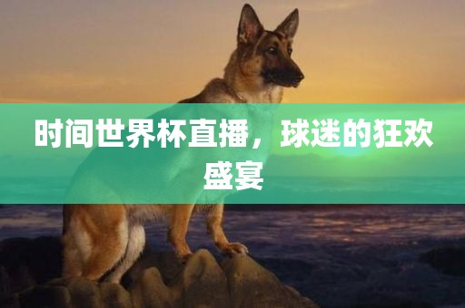 时间世界杯直播，球迷的狂欢盛宴