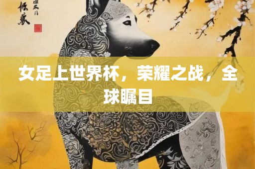 女足上世界杯，荣耀之战，全球瞩目