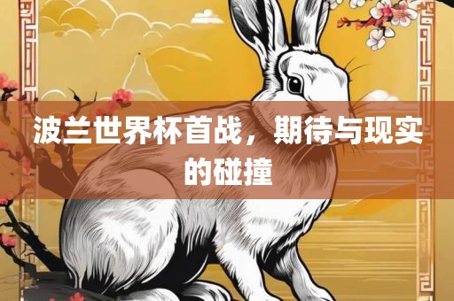 波兰世界杯首战，期待与现实的碰撞漯河市盈旭机械设备有限公司