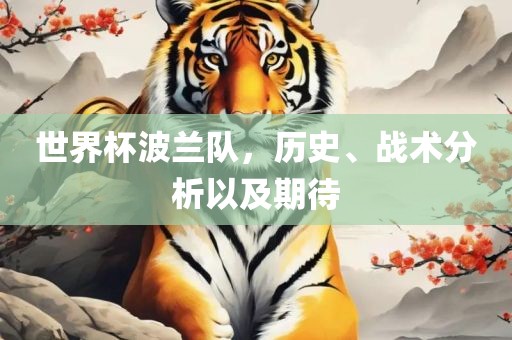 世界杯波兰队，历史、战术分析以及期待