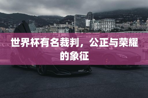 世界杯有名裁判，公正与荣耀的象征