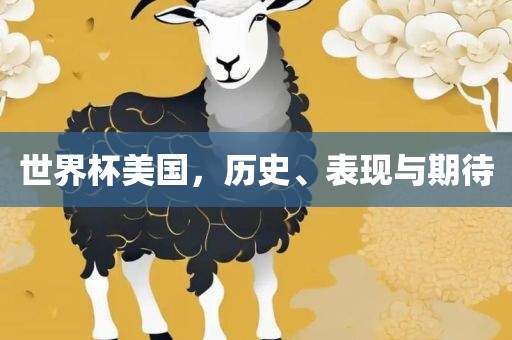 世界杯美国，历史、表现与期待